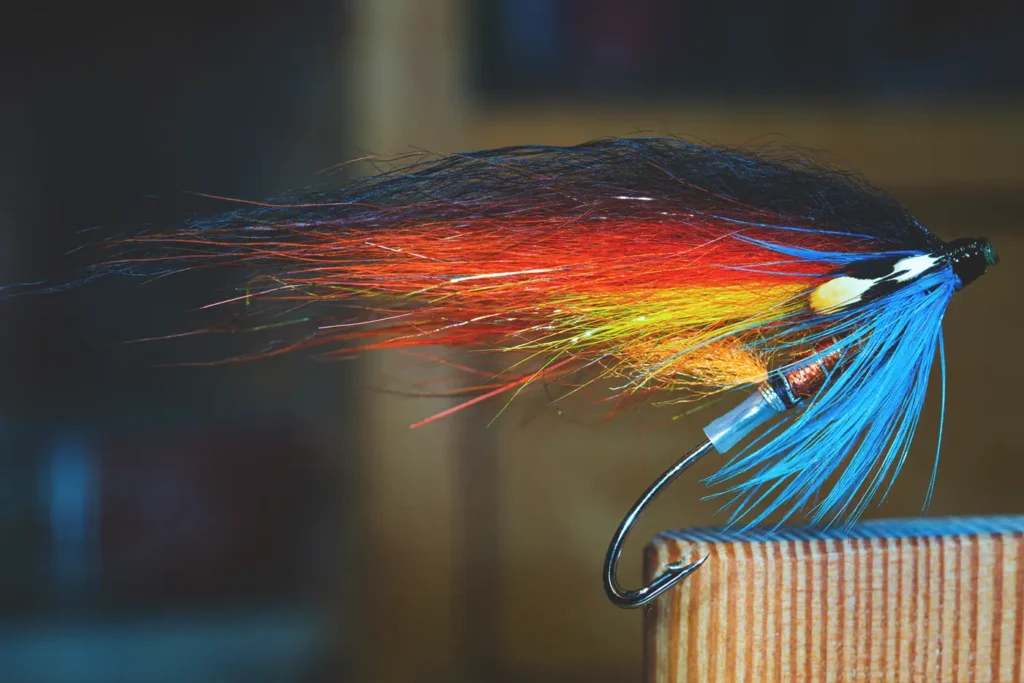 A classic gaula fly settles on a wooden board.