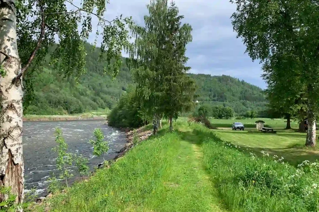 A grassy path next to a river with trees in the background.
