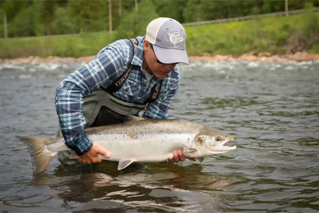 A man holding a large fish in a river.