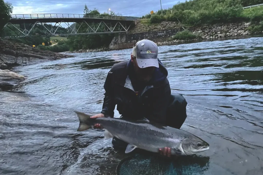 A man is peacefully holding a gaula fish in the river.