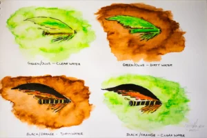 Four different watercolor paintings of flies in different colors.