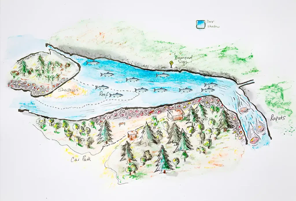 A map of a river with trees and trees.