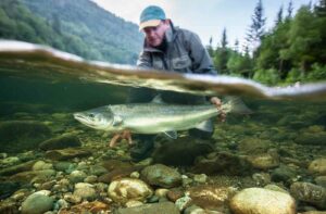 A person in outdoor gear holds a large fish partially underwater in a clear river, with rocks below and forested hills in the background—an inspiring reminder of why we must catch and release to harvest salmon responsibly.