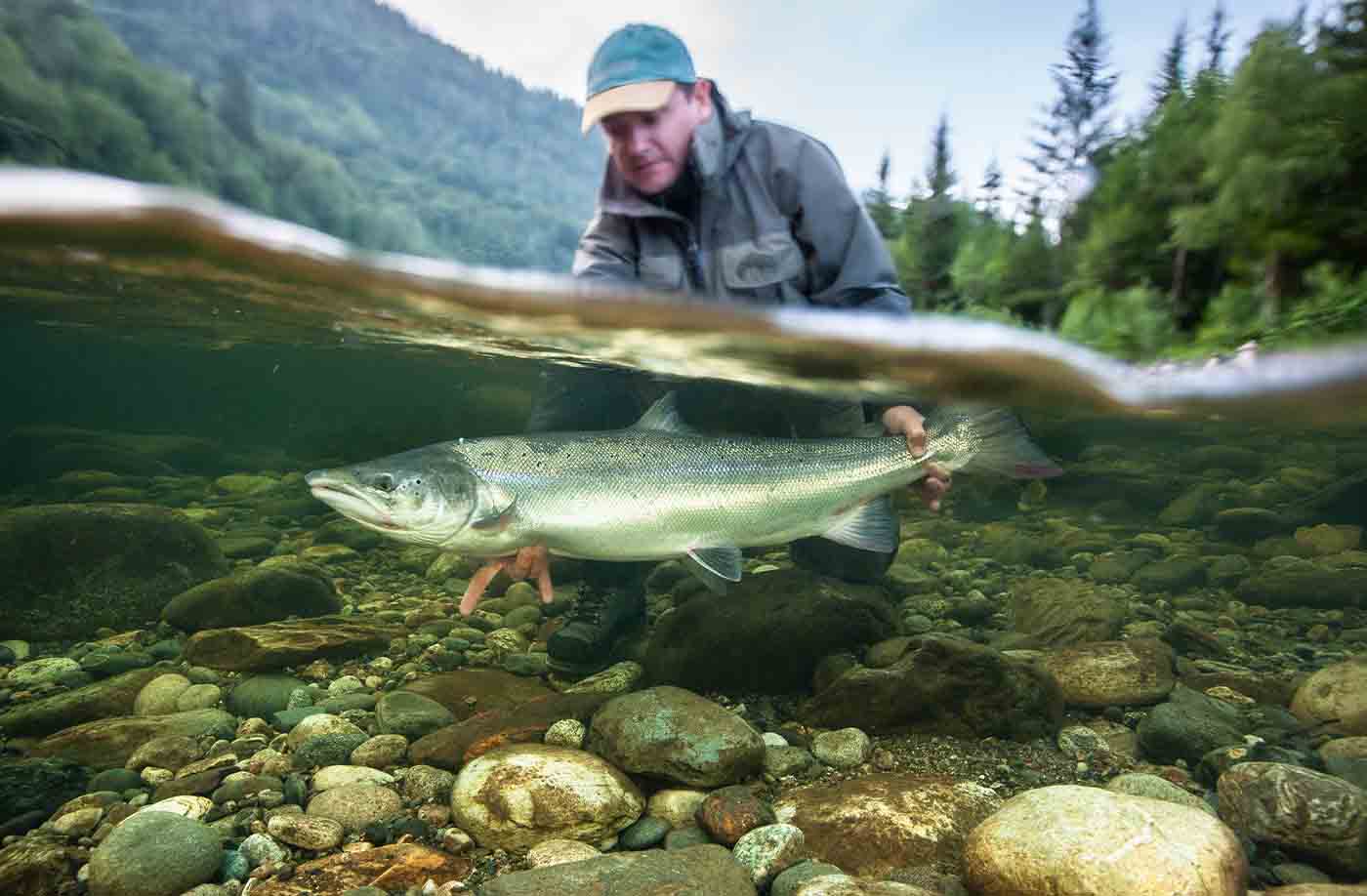 A person in outdoor gear holds a large fish partially underwater in a clear river, with rocks below and forested hills in the background—an inspiring reminder of why we must catch and release to harvest salmon responsibly.