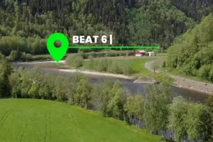 A green location marker labeled "Beat 6" highlights a spot near a river, ideal for Salmon-Catch-and-release-to-harvest, surrounded by trees, grass, and a few buildings with a road curving nearby.